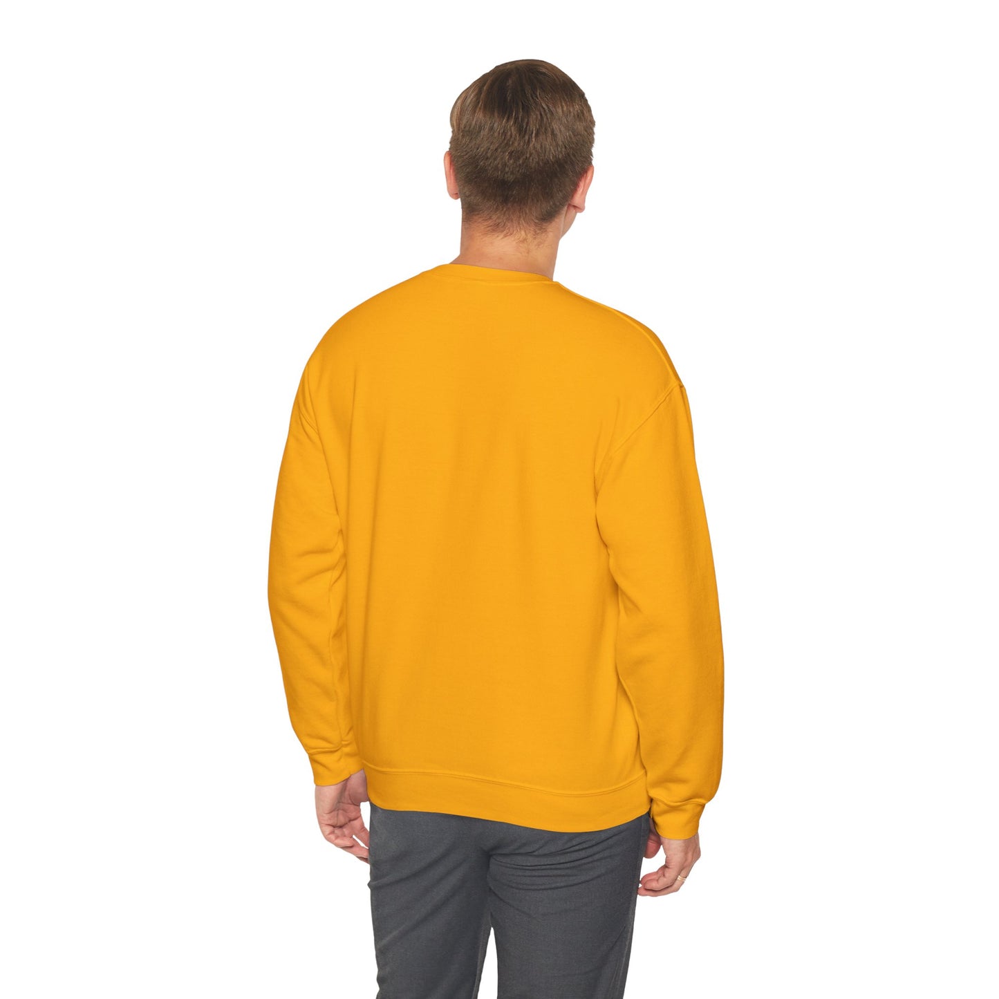 "Life is a Blessing" High Quality Sweatshirt - Unisex